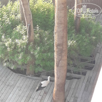 фото из отзыва ID 2730948