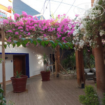 фото из отзыва ID 2730948