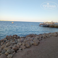 фото из отзыва ID 2730948