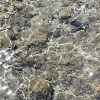 фото из отзыва ID 2730948