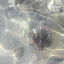 фото из отзыва ID 2730948