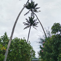 фото из отзыва ID 2730822