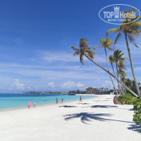 фото из отзыва ID 2730822