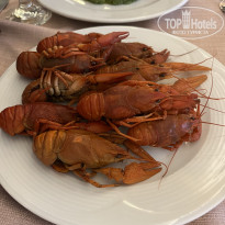 фото из отзыва ID 2730969