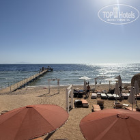 фото из отзыва ID 2730957