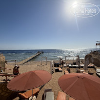 фото из отзыва ID 2730957