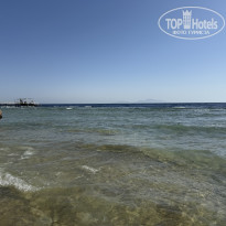 фото из отзыва ID 2730957