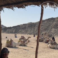 фото из отзыва ID 2730970