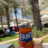 фото из отзыва ID 2730964