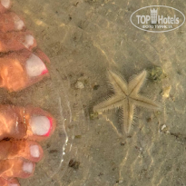 фото из отзыва ID 2730961