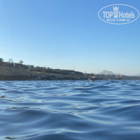 фото из отзыва ID 2730982