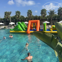 фото из отзыва ID 2731006