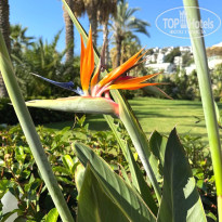 фото из отзыва ID 2731007