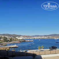 фото из отзыва ID 2731007