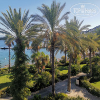 фото из отзыва ID 2731007