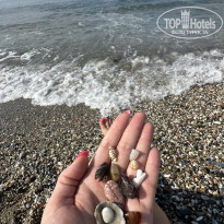 фото из отзыва ID 2731018