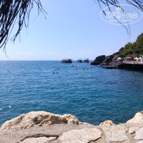 фото из отзыва ID 2731019