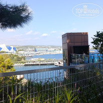 фото из отзыва ID 2731019