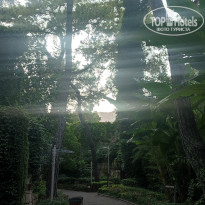 фото из отзыва ID 2731024