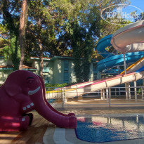 фото из отзыва ID 2731024