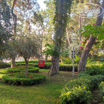 фото из отзыва ID 2731024