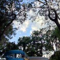 фото из отзыва ID 2731024