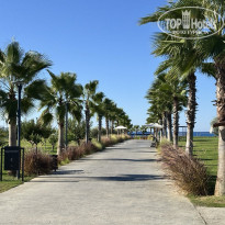 фото из отзыва ID 2731066