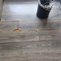 фото из отзыва ID 2731075