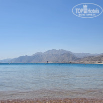 фото из отзыва ID 2731078