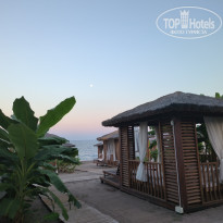 фото из отзыва ID 2731100