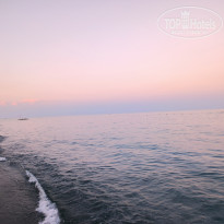 фото из отзыва ID 2731100