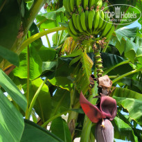 фото из отзыва ID 2731100