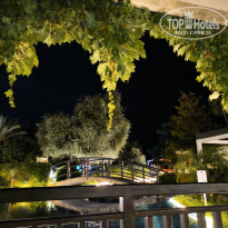 фото из отзыва ID 2731100