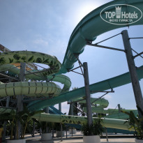 фото из отзыва ID 2731100