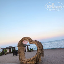 фото из отзыва ID 2731100