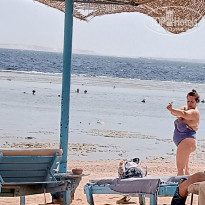 фото из отзыва ID 2731102