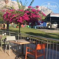 фото из отзыва ID 2731103