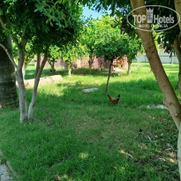 фото из отзыва ID 2731104