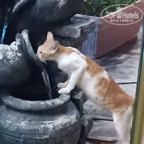 фото из отзыва ID 2731105