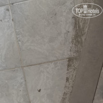 фото из отзыва ID 2731106