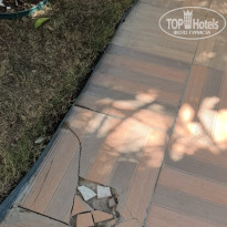 фото из отзыва ID 2731106