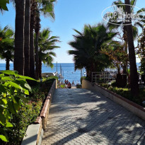 фото из отзыва ID 2731113