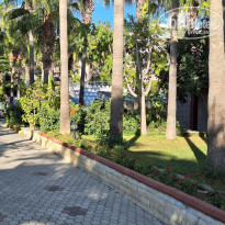 фото из отзыва ID 2731113