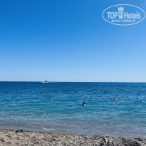 фото из отзыва ID 2731114