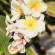 фото из отзыва ID 2730299