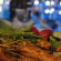 фото из отзыва ID 2730299