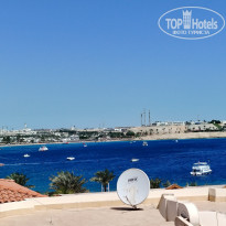 фото из отзыва ID 2731148