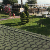 фото из отзыва ID 2731103