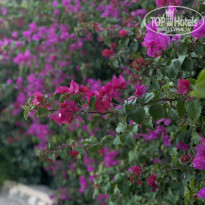 фото из отзыва ID 2731155