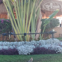 фото из отзыва ID 2731148